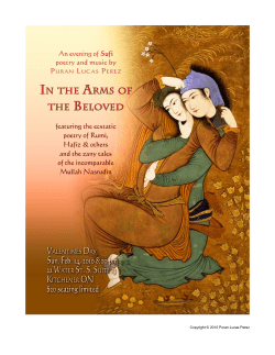 Copyright &copy; 2010 Puran Lucas Perez