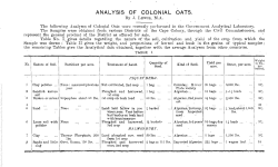 ANALYSIS OF COLONIAL OATS.