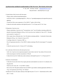 Agrobacterium mediated transformation of the liverwort, Marchantia