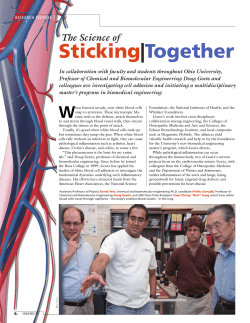 The Science of Sticking Together