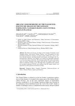 ORGANIC GEOCHEMISTRY OF THE PALEOCENE