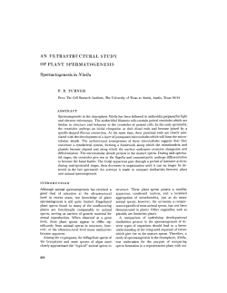 AN ULTRASTRUCTURAL STUDY OF PLANT