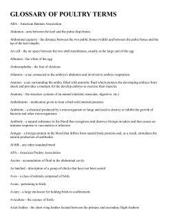 GLOSSARY OF POULTRY TERMS