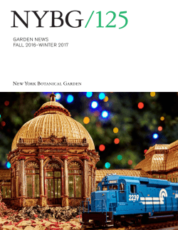 Fall 2016 - Winter 2017 - New York Botanical Garden