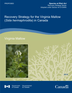 Recovery Strategy for the Virginia Mallow (Sida hermaphrodita)
