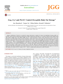 1 and Plc21C Control Drosophila Body Fat Storage
