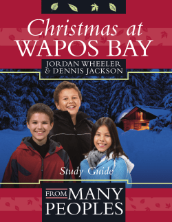 Christmas at Wapos Bay