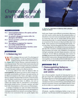 HS-SCI-APB-Unit 7 -- Chapter 44- Osmoregulation