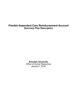 FLEX ACCOUNT PROGRAM - Brandeis University
