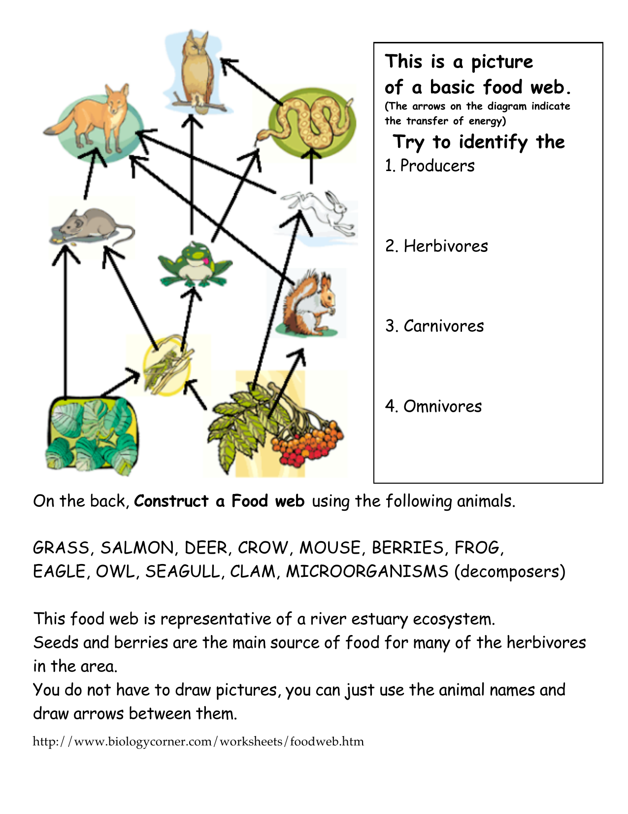 Food Web22.cwk Within Food Chains And Webs Worksheet
