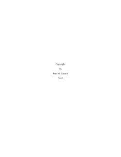 CANNON-DISSERTATION - The University of Texas at Austin