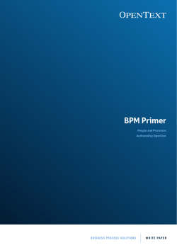 BPM Primer