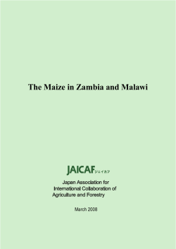 The Maize in Zambia and Malawi