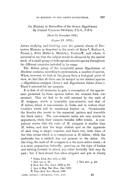 On Mimicry in Butterflies of the Genus Hypolimnas.