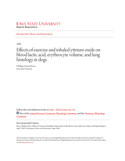 Effects of exercise and inhaled yttrium oxide on blood lactic acid