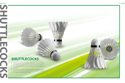 shuttlecocks - US