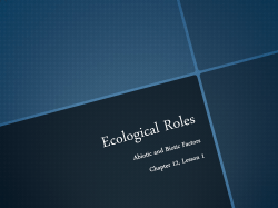 Ecological Roles