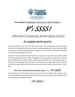 Menhirs-Soap - Canton de Potton