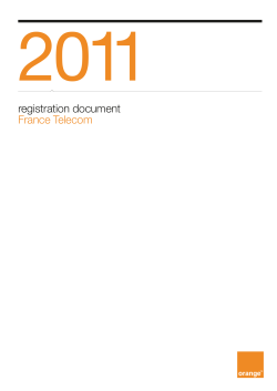 the file 2011 registration document