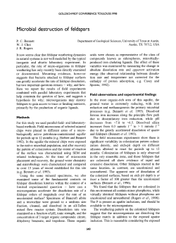 Microbial destruction of feldspars