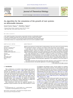 An algorithm for the simulation of the growth of root
