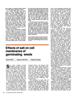 Effects of salt on cell membranes of germinating seeds
