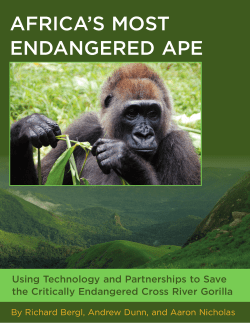 Conserving Africa`s Most Endangered Ape