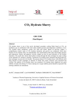 CO2 Hydrate Slurry