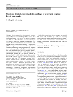 Nutrients limit photosynthesis in seedlings of a lowland tropical