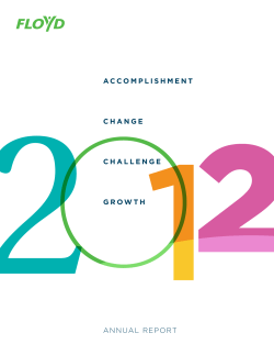accomplishment change challenge growth annual report
