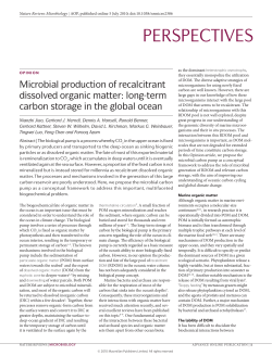 Microbial production of recalcitrant dissolved organic matter: long