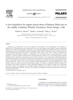 A new hypothesis for organic preservation of Burgess Shale taxa in