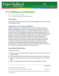 A Plethora of Pollinators