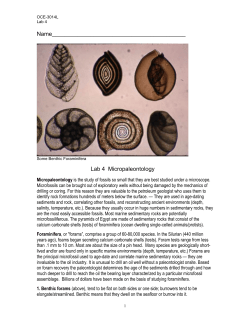 Lab 4 Microfossils