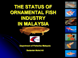 THE STATUS OF ORNAMENTAL FISH INDUSTRY IN MALAYSIA