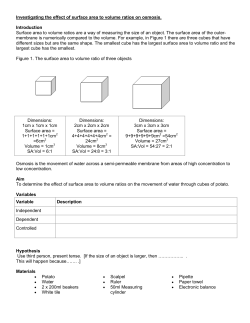 Investigating the effect of surface area to volume ratios on osmosis