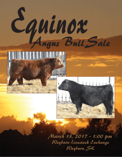 Equinox Bull Sale 2017.indd - Saskatchewan Livestock Association