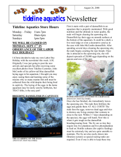Tideline Aquatics Newsletter for the Week of August 26, 20…