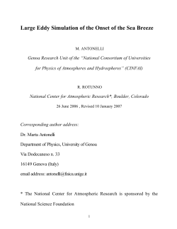 Large Eddy Simulation of the Onset of the Sea Breeze