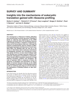 Insights into the mechanisms of eukaryotic translation gained with