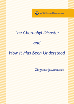 The Chernobyl Disaster and How It Has Been Understood