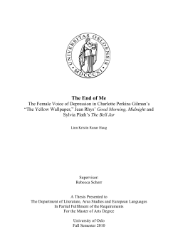 The theory of narrative is a large field,