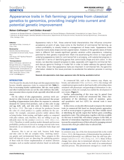Appearance traits in fish farming: progress from classical genetics to