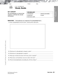 Study Guide - cloudfront.net