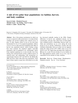 A tale of two polar bear populations