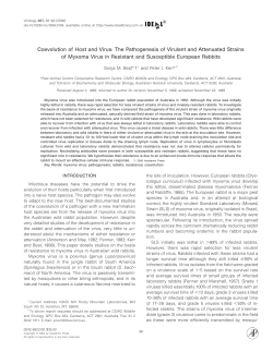 The Pathogenesis of Virulent and Attenuated Strains of Myxoma