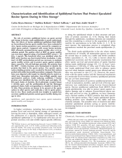 Characterization and Identification of Epididymal Factors That