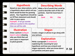 Hypothesis Describing Words Illustration Slogan Explanation P. 58
