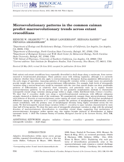 Microevolutionary patterns in the common caiman predict