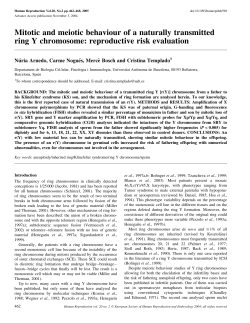 Mitotic and meiotic behaviour of a naturally transmitted ring Y